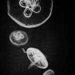 Autor pracy: Przemysław Konefał