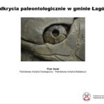 Prezentacja dotycząca odkrycia paleontologicznego w gminie Łagów / Piotr Szrek - Państwowy Instytut Geologiczny/Państwowy Instytut Badawczy / Radio Kielce