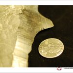 Prezentacja dotycząca odkrycia paleontologicznego w gminie Łagów / Piotr Szrek - Państwowy Instytut Geologiczny/Państwowy Instytut Badawczy / Radio Kielce