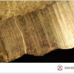 Prezentacja dotycząca odkrycia paleontologicznego w gminie Łagów / Piotr Szrek - Państwowy Instytut Geologiczny/Państwowy Instytut Badawczy / Radio Kielce