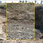 Prezentacja dotycząca odkrycia paleontologicznego w gminie Łagów / Piotr Szrek - Państwowy Instytut Geologiczny/Państwowy Instytut Badawczy / Radio Kielce