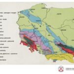 Prezentacja dotycząca odkrycia paleontologicznego w gminie Łagów / Piotr Szrek - Państwowy Instytut Geologiczny/Państwowy Instytut Badawczy / Radio Kielce