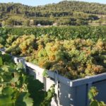 Prowansja / Anna Wyrzykowska i Mikołaj Wyrzykowski