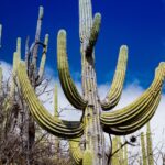 Meksyk / Mirosław Lubarski