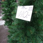 Choinki żywe i sztuczne na targu w Ostrowcu Świętokrzyskim / Emilia Sitarska / Radio Kielce