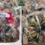 Nowiny. Kiermasz Bożonarodzeniowy / Iwona Murawska / Radio Kielce