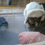 Eksperyment, w którym udział wzięli Valerian Romanowski i Piotr Marczewski / Wawrzyniec Kuc