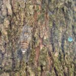 Prowansja / Anna Wyrzykowska i Mikołaj Wyrzykowski