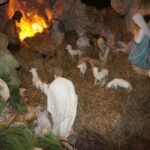 Sandomierz. Szopka w bazylice katedralnej / Grażyna Szlęzak - Wójcik / Radio Kielce