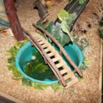 Sandomierz. Szopka w kościele św. Ducha / Grażyna Szlęzak - Wójcik / Radio Kielce