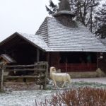 Kałków. Żywa szopka / Anna Głąb / Radio Kielce