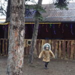 Żywa szopka przy klasztorze ojców franciszkanów / Anna Głąb / Radio Kielce