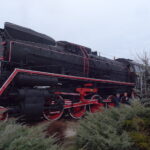 Rozświetlenie choinki oraz zabytkowego parowozu / Ewa Pociejowska-Gawęda / Radio Kielce