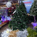 Sprzedaż choinek w Jędrzejowie / Ewa Pociejowska-Gawęda / Radio Kielce