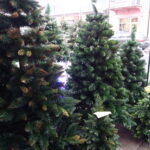 Sprzedaż choinek w Jędrzejowie / Ewa Pociejowska-Gawęda / Radio Kielce