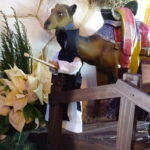 Szopka bożonarodzeniowa w klasztorze ojców cystersów w Jędrzejowie / Ewa Pociejowska-Gawęda / Radio Kielce