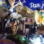 Szopka bożonarodzeniowa w klasztorze ojców cystersów w Jędrzejowie / Ewa Pociejowska-Gawęda / Radio Kielce