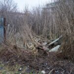 Kielce. Autobus wjechał w przystanek na ulicy Okrzei / Karol Żak / Radio Kielce