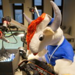 Choinka pod choinkę. Drugi dzień akcji / Kamil Król / Radio Kielce