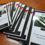 Galimatias Ostrowiecki. Gra planszowa o Ostrowcu Świętokrzyskim / Emilia Sitarska / Radio Kielce