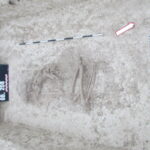 Odkrycia archeologów przy przy drodze wojewódzkiej 767 na odcinku Pińczów - Pasturka. Grób nr 1 / Muzeum Regionalne w Pińczowie