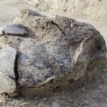 Odkrycia archeologów przy przy drodze wojewódzkiej 767 na odcinku Pińczów - Pasturka. Grób nr 2 / Muzeum Regionalne w Pińczowie