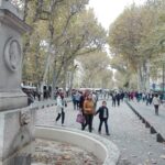 Prowansja / Anna Wyrzykowska i Mikołaj Wyrzykowski