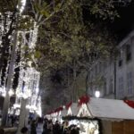 Prowansja / Anna Wyrzykowska i Mikołaj Wyrzykowski