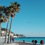 Prowansja / Anna Wyrzykowska i Mikołaj Wyrzykowski