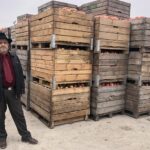 Interwencyjny skup jabłek / Grażyna Szlęzak-Wójcik / Radio Kielce