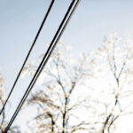 Oblodzone linie energetyczne / Wojciech Habdas / Radio Kielce