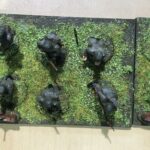 Historyczna gra bitewna „Wrzesień 1939” / Grażyna Szlęzak-Wójcik / Radio Kielce