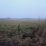 Teren, gdzie ma powstać farma fotowoltaiczna / Marta Gajda / Radio Kielce