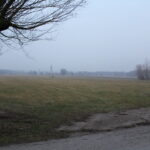 Teren, gdzie ma powstać farma fotowoltaiczna / Marta Gajda / Radio Kielce