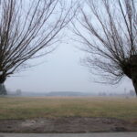 Teren, gdzie ma powstać farma fotowoltaiczna / Marta Gajda / Radio Kielce