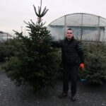 Sprzedaż żywych choinek w Pińczowie cieszy się dużym zainteresowaniem / Marta Gajda / Radio Kielce