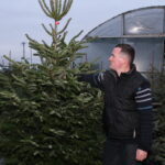 Sprzedaż żywych choinek w Pińczowie cieszy się dużym zainteresowaniem / Marta Gajda / Radio Kielce