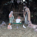 Szopka bożonarodzeniowa na skalbmierskim Rynku / Marta Gajda / Radio Kielce