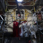 Jędrzejów. Kaplica bł. Wincentego Kadłubka, barokowa dzwonnica oraz XVIII-wieczna brama wjazdowa klasztoru cystersów w Jędrzejowie odzyskują dawny blask / Ewa Pociejowska-Gawęda / Radio Kielce