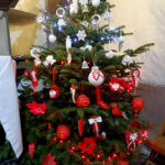 Jędrzejów. Patriotyczne choinki w klasztorze Ojców Cystersów / Ewa Pociejowska-Gawęda / Radio Kielce