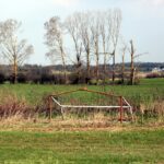 13.04.2016 Obice. Teren gdzie ma powstać lotnisko. / Jarosław Kubalski / Radio Kielce