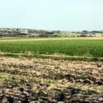 13.04.2016 Obice. Teren gdzie ma powstać lotnisko. / Jarosław Kubalski / Radio Kielce