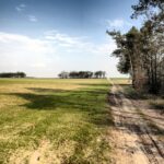 13.04.2016 Obice. Teren gdzie ma powstać lotnisko. / Jarosław Kubalski / Radio Kielce