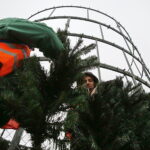 26.11.2018 Kielce. Pracownicy RPZ stawiają choinkę na Rynku / Jarosław Kubalski / Radio Kielce