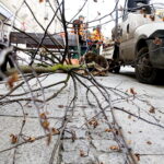 06.12.2018 Kielce. Pracownicy zieleni miejskiej sadzą drzewa na ulicy Sienkiewicza / Jarosław Kubalski / Radio Kielce