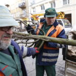 06.12.2018 Kielce. Pracownicy zieleni miejskiej sadzą drzewa na ulicy Sienkiewicza / Jarosław Kubalski / Radio Kielce