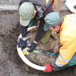 06.12.2018 Kielce. Pracownicy zieleni miejskiej sadzą drzewa na ulicy Sienkiewicza / Jarosław Kubalski / Radio Kielce