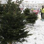 16.12.2018 Kielce. Plac Wolności. Choinki. Handel / Jarosław Kubalski / Radio Kielce