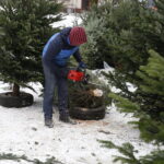 16.12.2018 Kielce. Plac Wolności. Choinki. Handel / Jarosław Kubalski / Radio Kielce