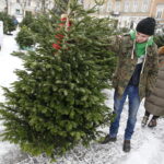 16.12.2018 Kielce. Plac Wolności. Choinki. Handel / Jarosław Kubalski / Radio Kielce
